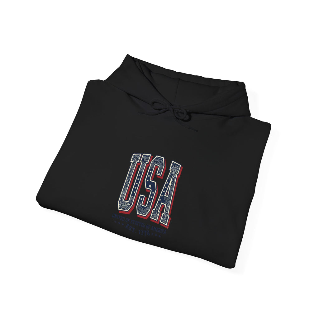 Vintage USA Hoodie | 4th of July Patriotic Graphic, Stars & Stripe Typography